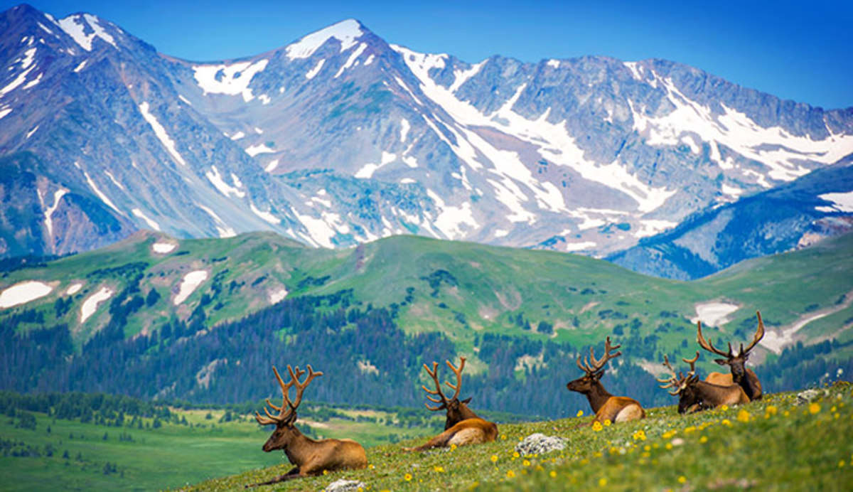 Rocky Mountain Natl Park